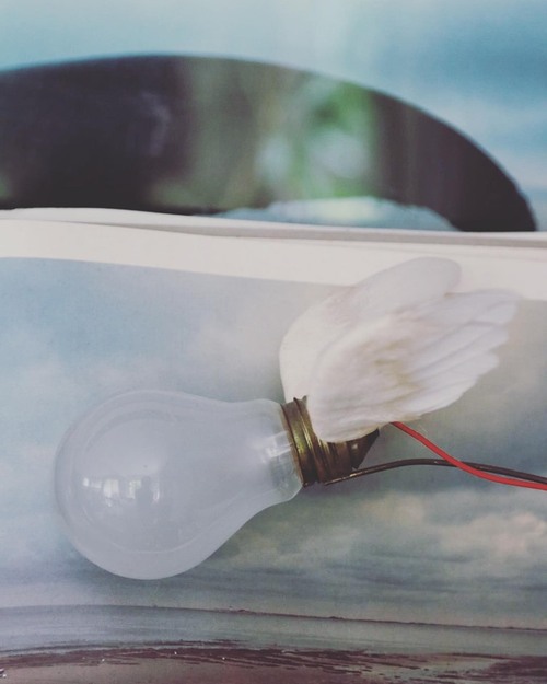 73524509_2323958147713877_6700778795764285440_n.jpgのサムネール画像