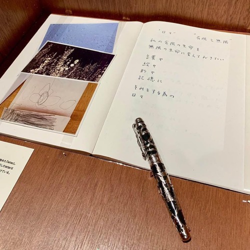 75294197_2370205276422497_3414703874554986496_n.jpgのサムネール画像