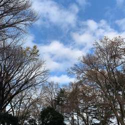 80313658_2453693851406972_4204873184371015680_n.jpgのサムネール画像