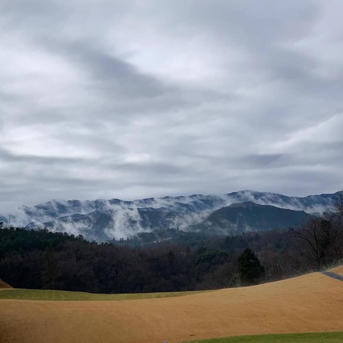 89463787_2603955779714111_2386670097541365760_n.jpgのサムネール画像